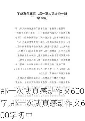 那一次我真感动作文600字,那一次我真感动作文600字初中