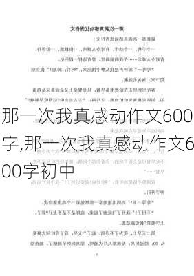 那一次我真感动作文600字,那一次我真感动作文600字初中