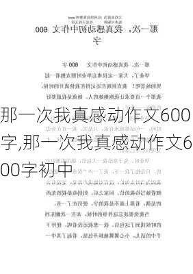 那一次我真感动作文600字,那一次我真感动作文600字初中