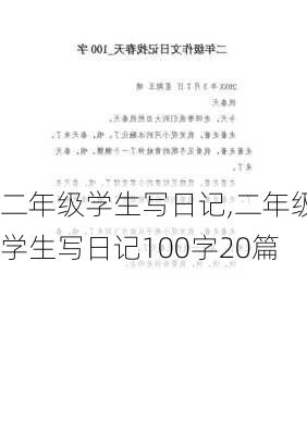 二年级学生写日记,二年级学生写日记100字20篇