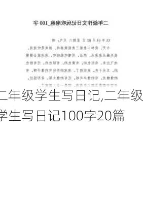 二年级学生写日记,二年级学生写日记100字20篇