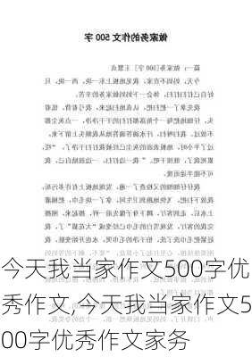 今天我当家作文500字优秀作文,今天我当家作文500字优秀作文家务