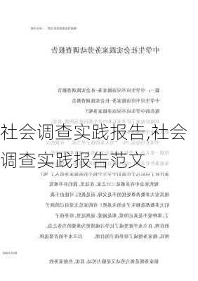 社会调查实践报告,社会调查实践报告范文