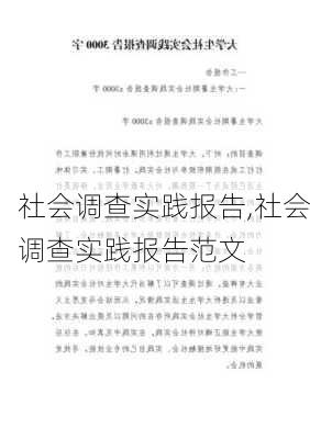 社会调查实践报告,社会调查实践报告范文