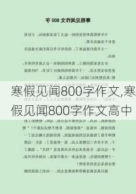 寒假见闻800字作文,寒假见闻800字作文高中