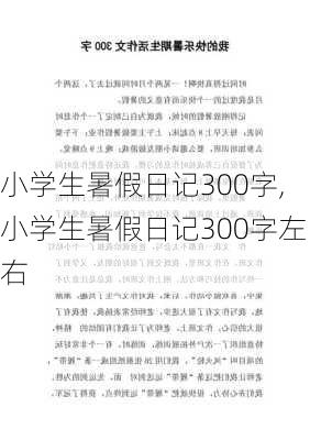 小学生暑假日记300字,小学生暑假日记300字左右