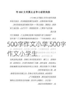 500字作文小学,500字作文小学生