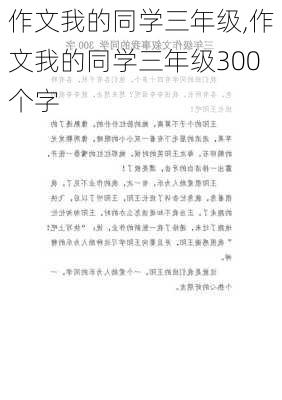 作文我的同学三年级,作文我的同学三年级300个字