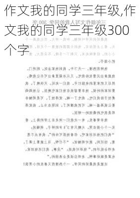 作文我的同学三年级,作文我的同学三年级300个字