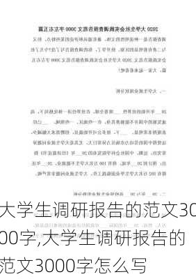 大学生调研报告的范文3000字,大学生调研报告的范文3000字怎么写