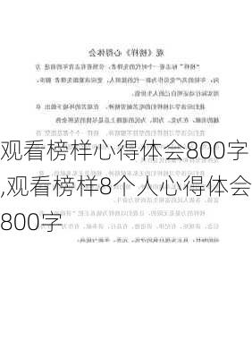 观看榜样心得体会800字,观看榜样8个人心得体会800字