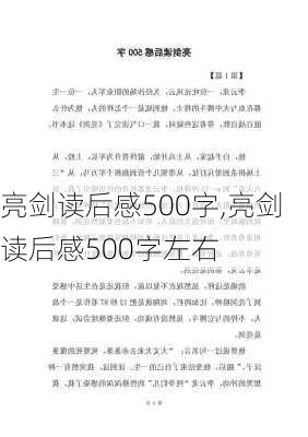 亮剑读后感500字,亮剑读后感500字左右