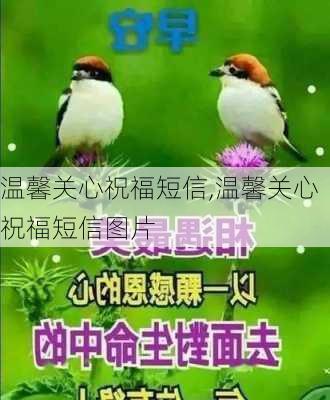 温馨关心祝福短信,温馨关心祝福短信图片