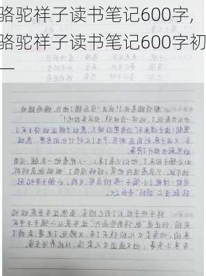 骆驼祥子读书笔记600字,骆驼祥子读书笔记600字初一