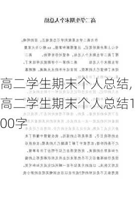 高二学生期末个人总结,高二学生期末个人总结100字