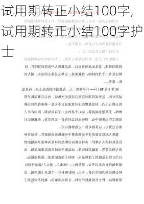 试用期转正小结100字,试用期转正小结100字护士