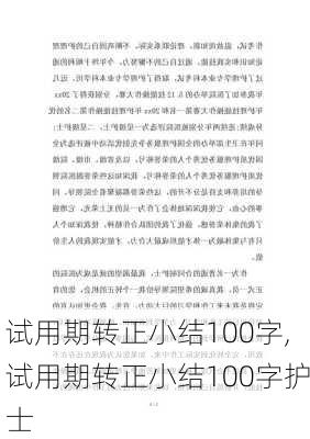 试用期转正小结100字,试用期转正小结100字护士