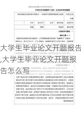 大学生毕业论文开题报告,大学生毕业论文开题报告怎么写