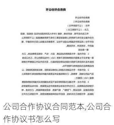 公司合作协议合同范本,公司合作协议书怎么写