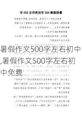 暑假作文500字左右初中,暑假作文500字左右初中免费