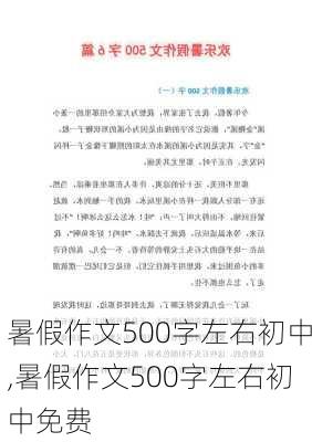 暑假作文500字左右初中,暑假作文500字左右初中免费