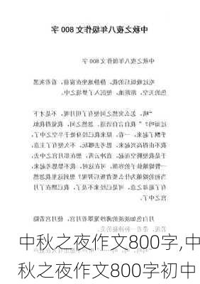 中秋之夜作文800字,中秋之夜作文800字初中