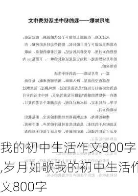 我的初中生活作文800字,岁月如歌我的初中生活作文800字