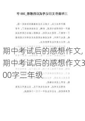 期中考试后的感想作文,期中考试后的感想作文300字三年级