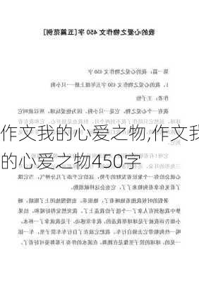 作文我的心爱之物,作文我的心爱之物450字