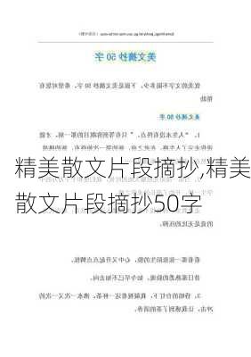 精美散文片段摘抄,精美散文片段摘抄50字