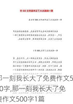 那一刻我长大了免费作文500字,那一刻我长大了免费作文500字1篇