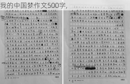 我的中国梦作文500字,