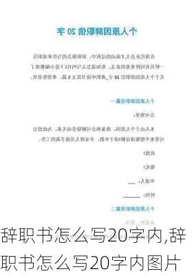 辞职书怎么写20字内,辞职书怎么写20字内图片