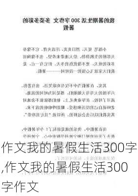 作文我的暑假生活300字,作文我的暑假生活300字作文