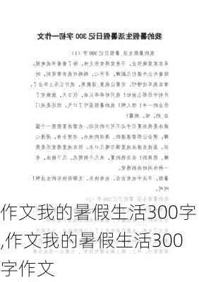 作文我的暑假生活300字,作文我的暑假生活300字作文