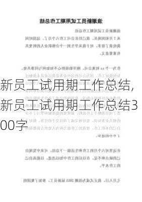 新员工试用期工作总结,新员工试用期工作总结300字