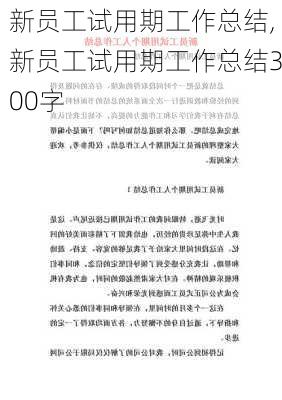 新员工试用期工作总结,新员工试用期工作总结300字