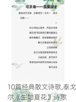 10篇经典散文诗歌,泰戈尔《生如夏花》诗歌