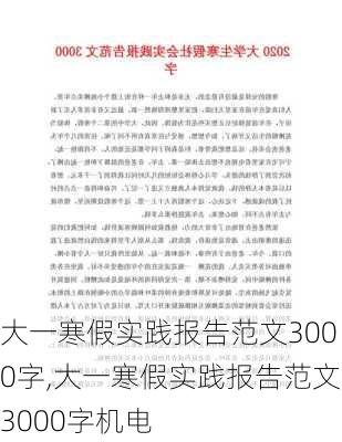 大一寒假实践报告范文3000字,大一寒假实践报告范文3000字机电