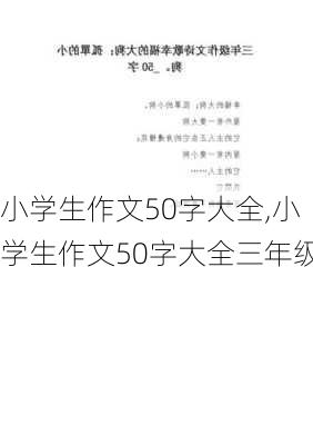 小学生作文50字大全,小学生作文50字大全三年级