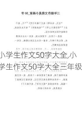 小学生作文50字大全,小学生作文50字大全三年级