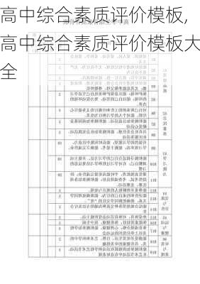 高中综合素质评价模板,高中综合素质评价模板大全