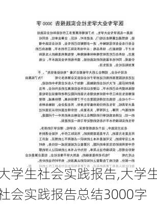 大学生社会实践报告,大学生社会实践报告总结3000字