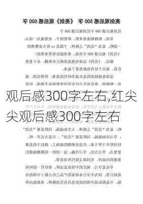 观后感300字左右,红尖尖观后感300字左右