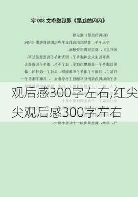 观后感300字左右,红尖尖观后感300字左右