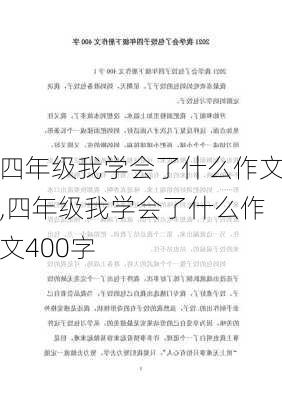 四年级我学会了什么作文,四年级我学会了什么作文400字