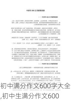 初中满分作文600字大全,初中生满分作文600