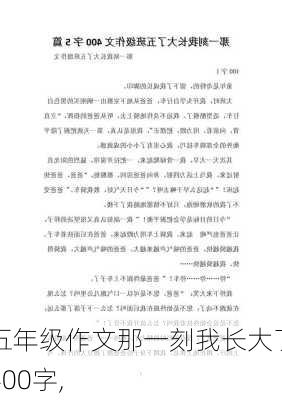 五年级作文那一刻我长大了400字,