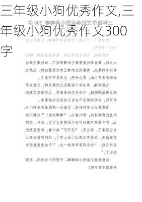 三年级小狗优秀作文,三年级小狗优秀作文300字