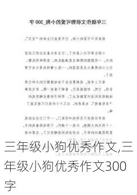 三年级小狗优秀作文,三年级小狗优秀作文300字